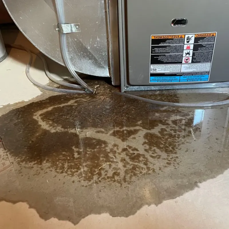 Pipe Burst and Leak Restoration in Pine Ridge at Crestwood, NJ